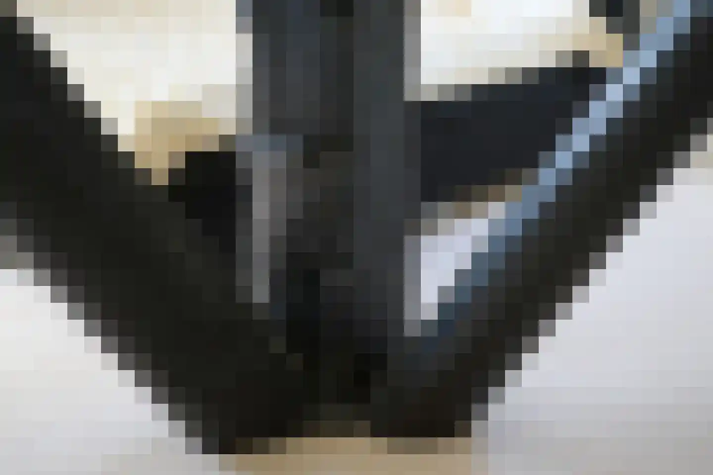 Nesweg 2 Oosterend thumbnail 30