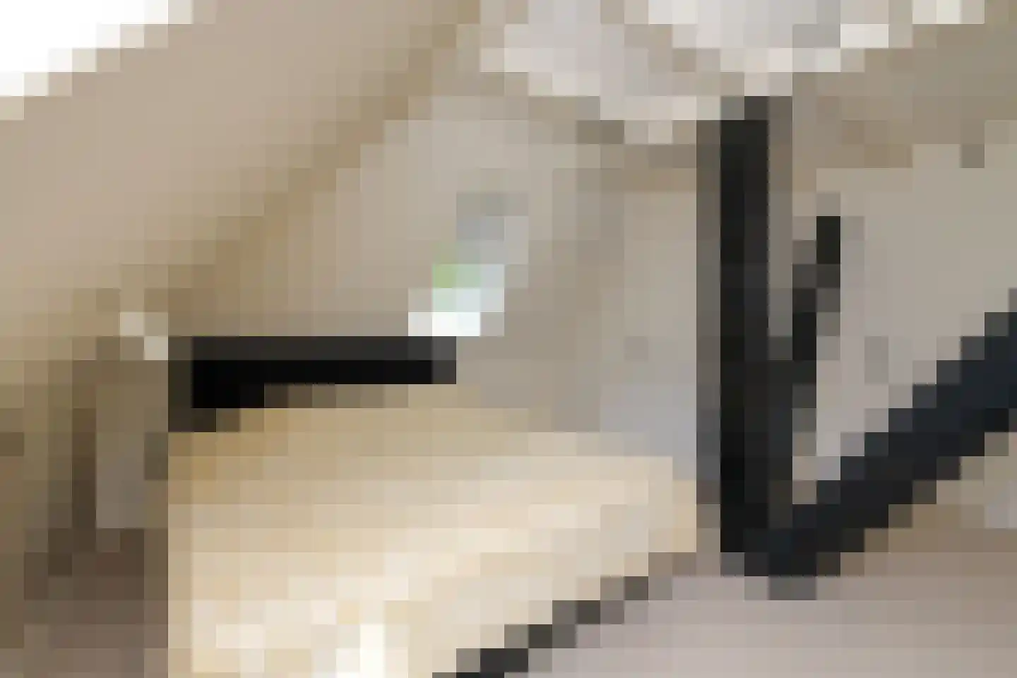 Nesweg 2 Oosterend thumbnail 31