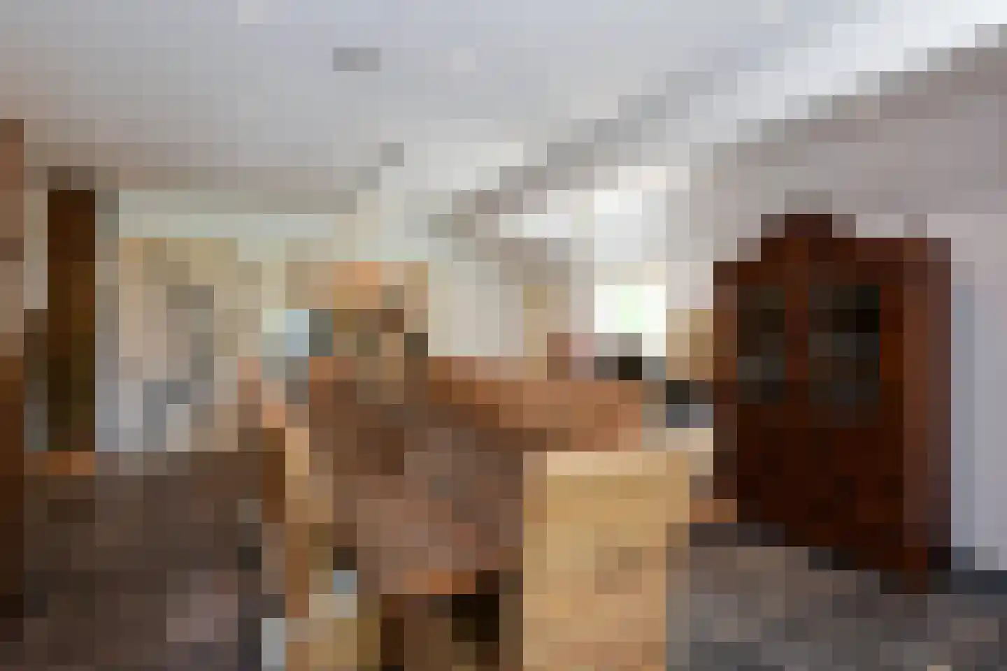 Nesweg 2 Oosterend thumbnail 39