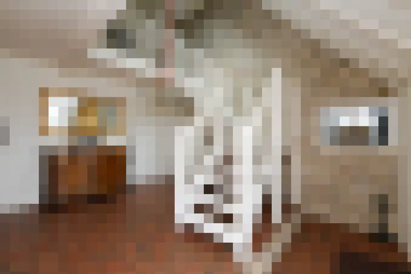 Nesweg 2 Oosterend thumbnail 4