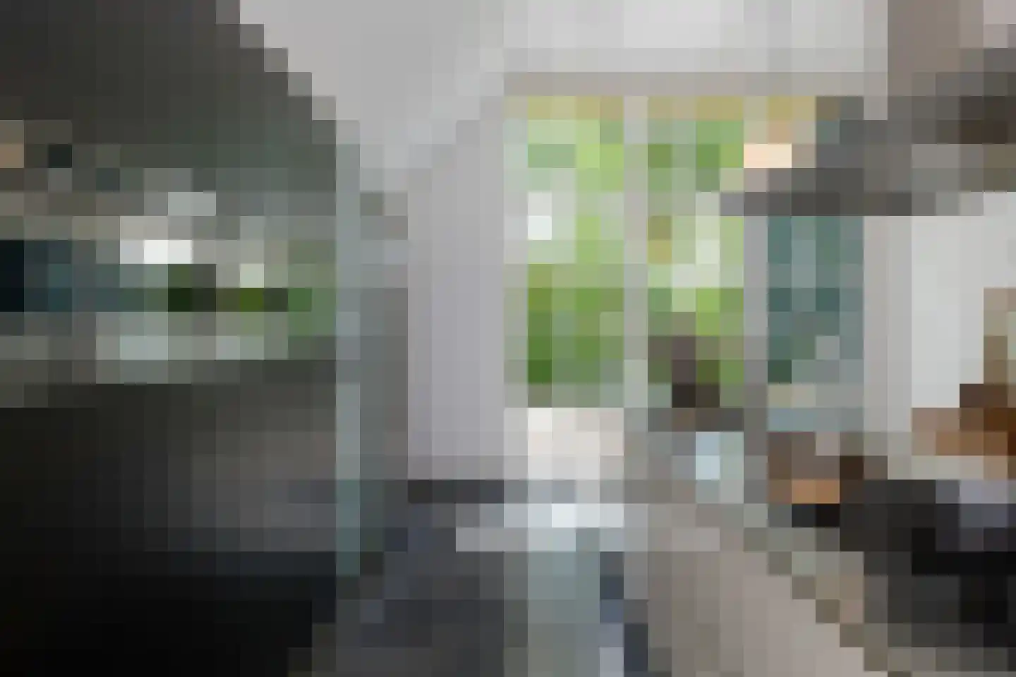Nesweg 2 Oosterend thumbnail 44