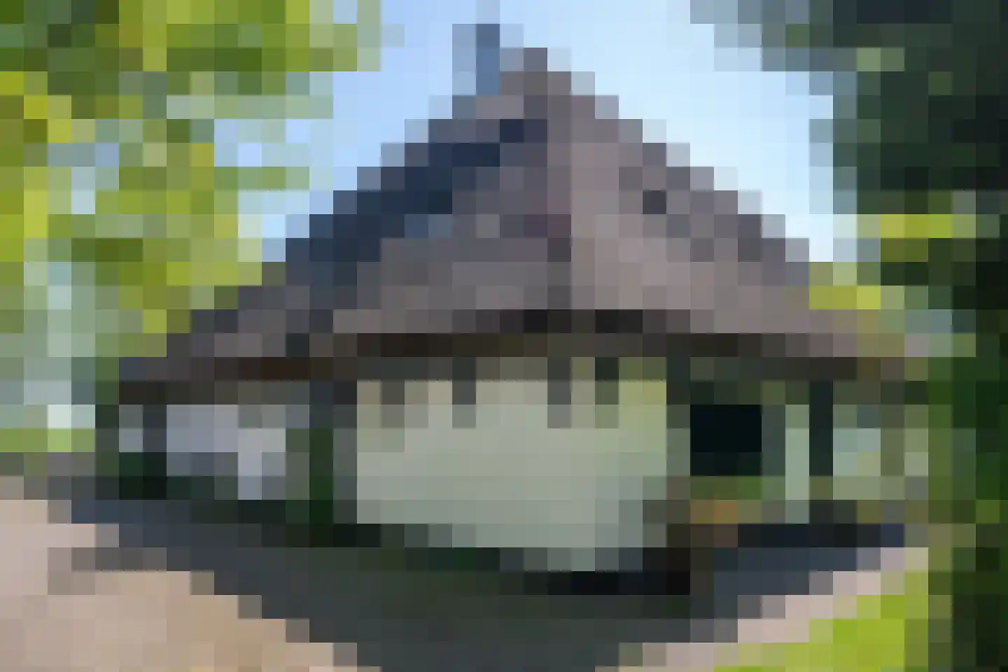 Nesweg 2 Oosterend thumbnail 52