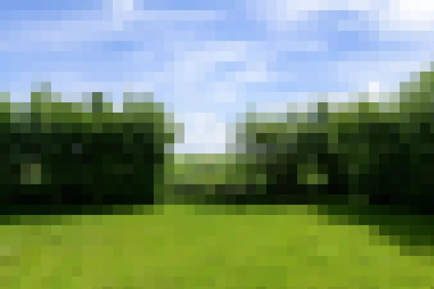 Nesweg 2 Oosterend thumbnail 55