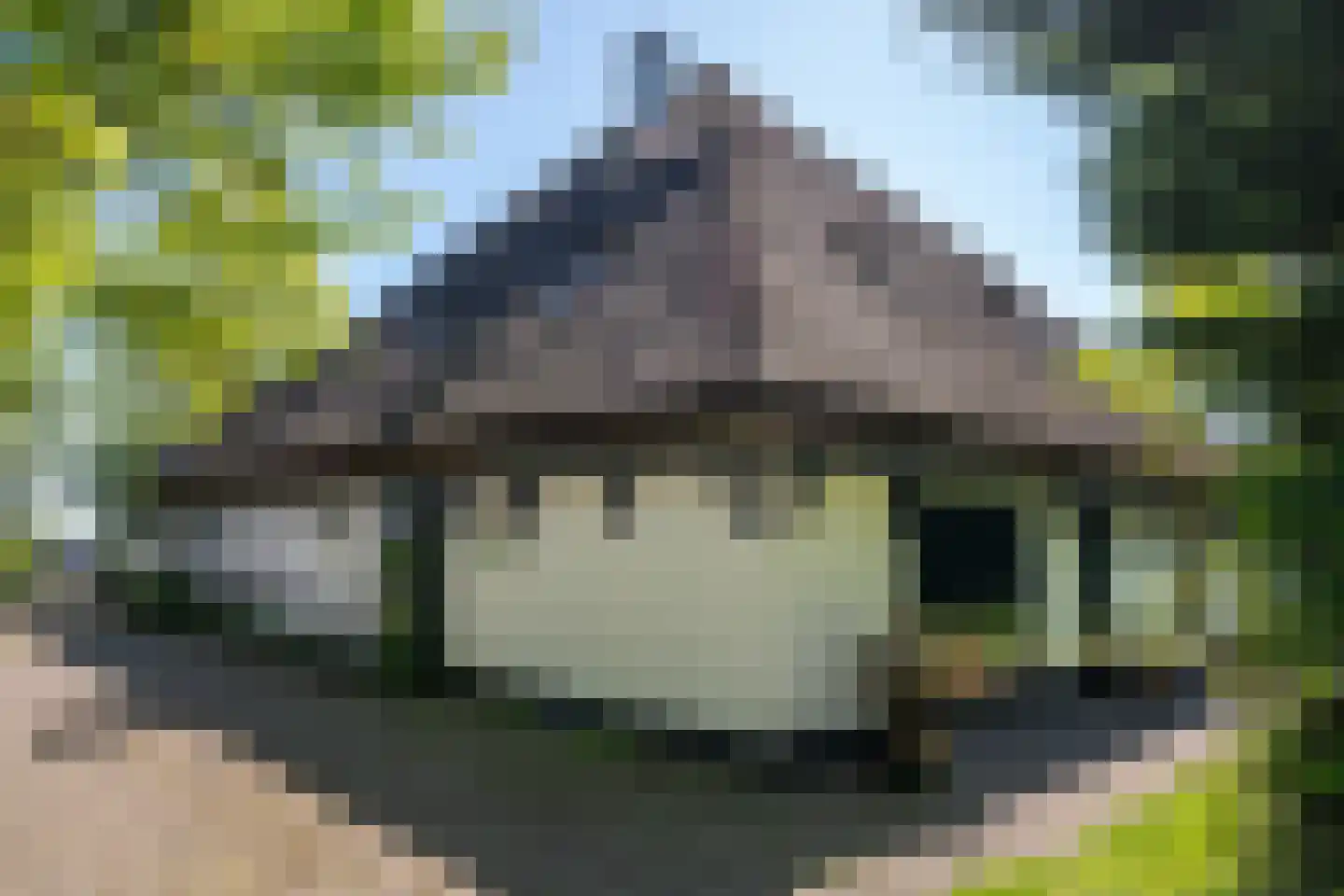 Nesweg 2 Oosterend thumbnail 56