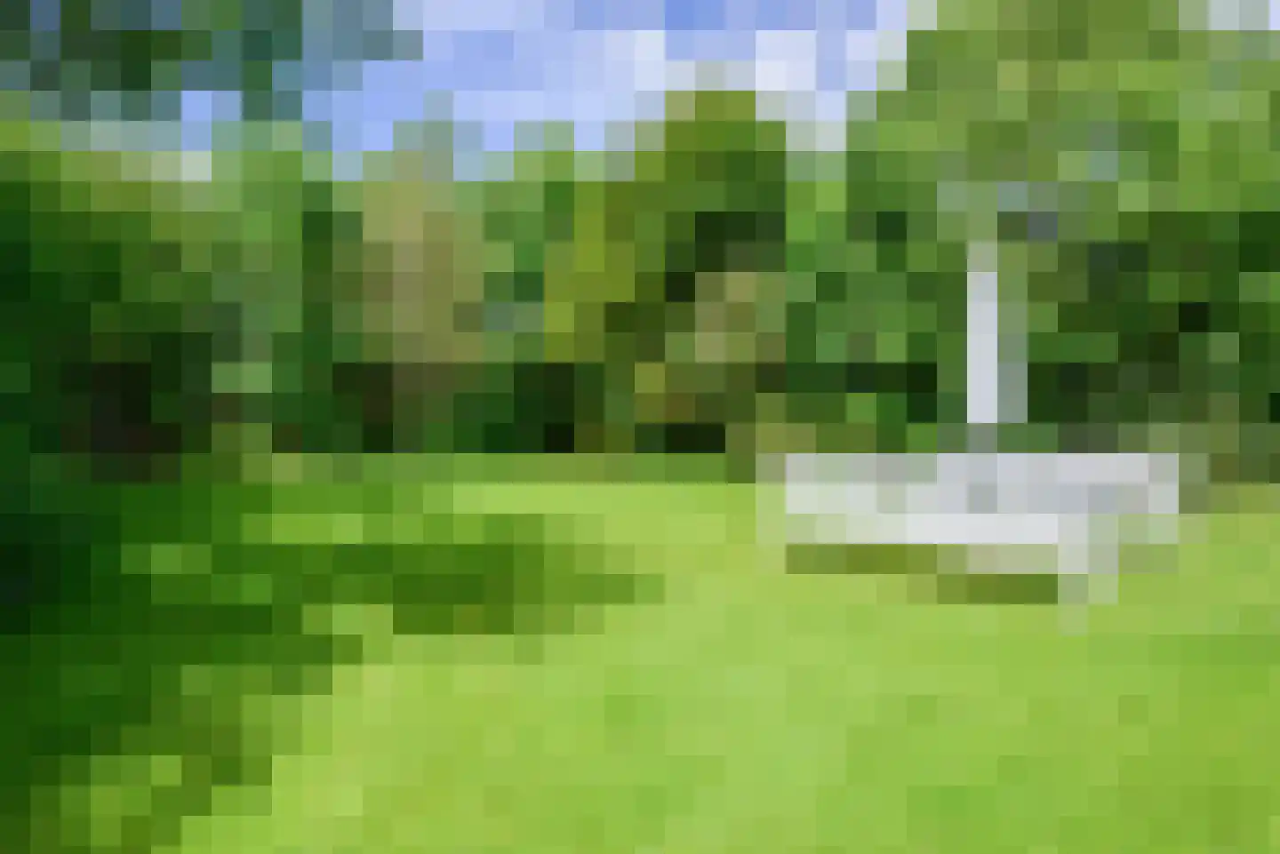 Nesweg 2 Oosterend thumbnail 56