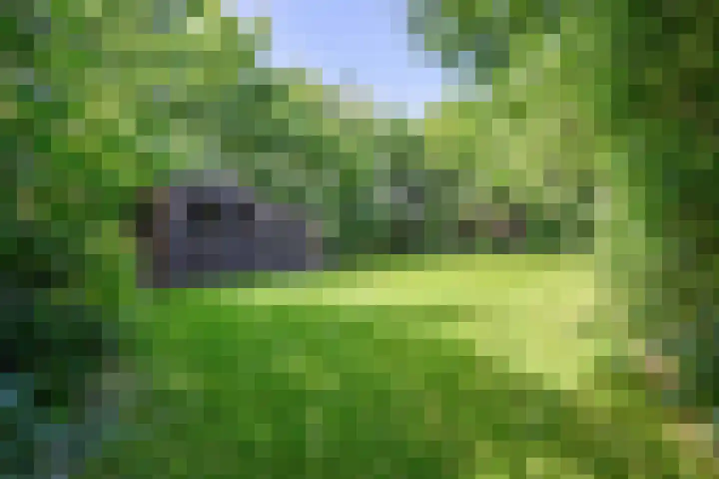 Nesweg 2 Oosterend thumbnail 57