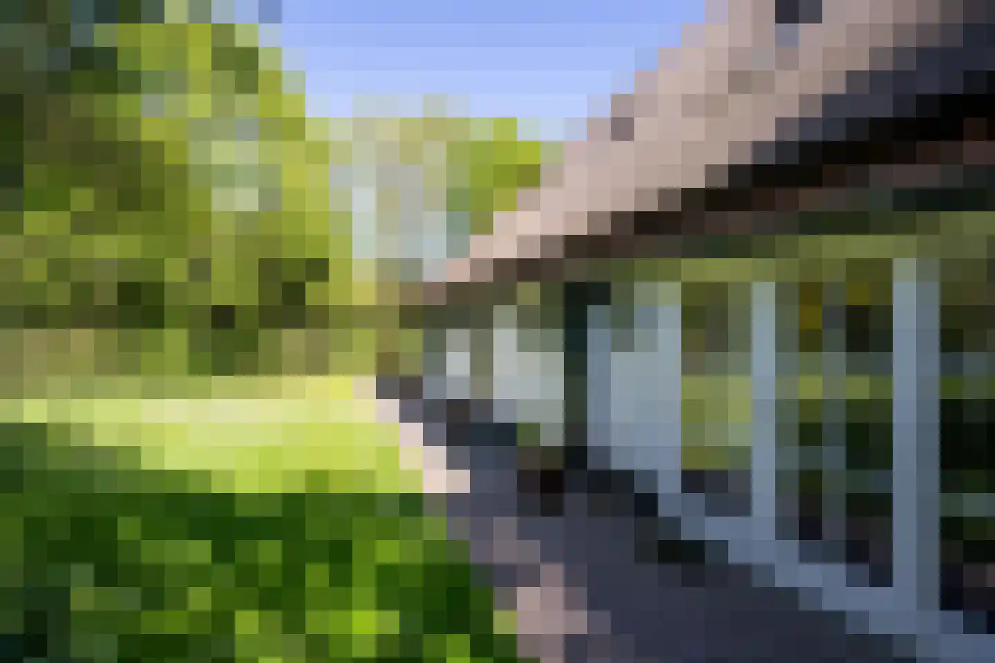 Nesweg 2 Oosterend thumbnail 57