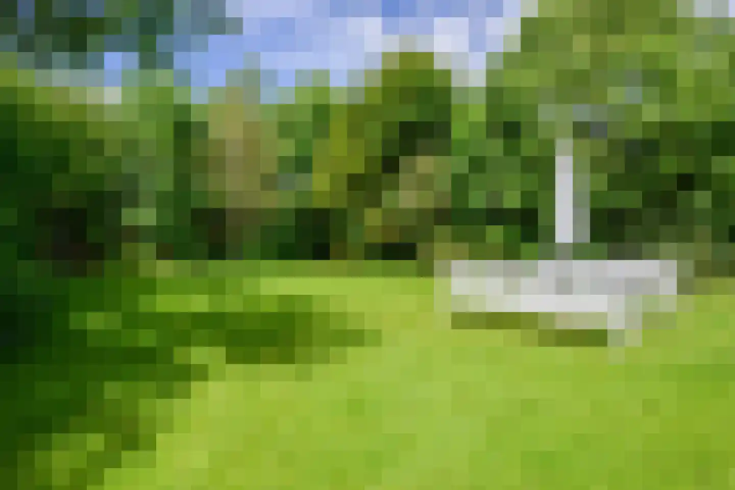 Nesweg 2 Oosterend thumbnail 58