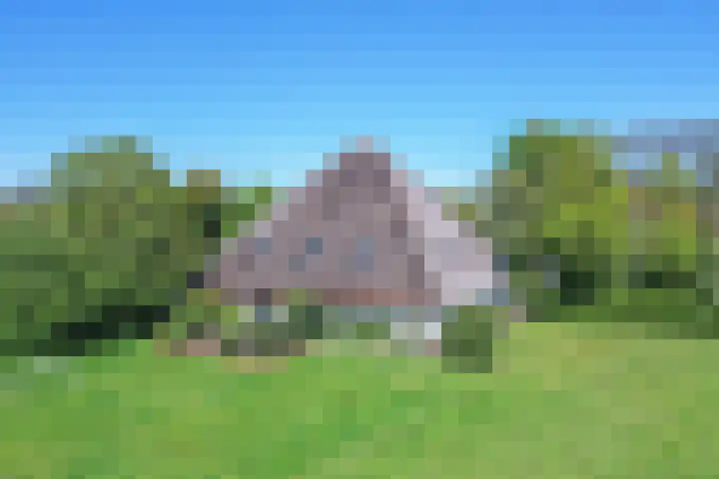 Nesweg 2 Oosterend thumbnail 59