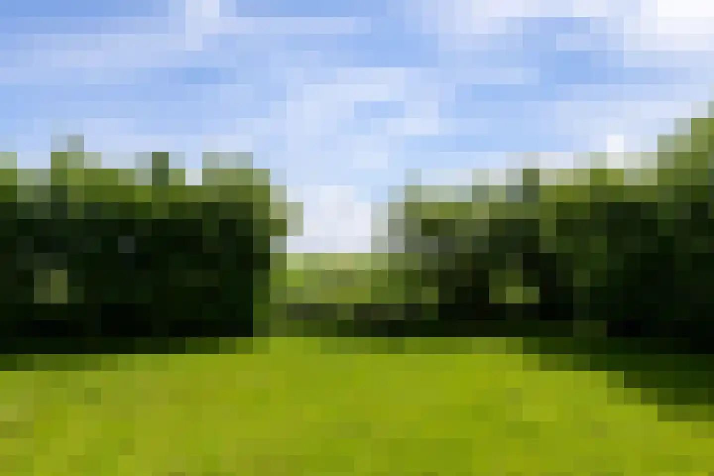 Nesweg 2 Oosterend thumbnail 59