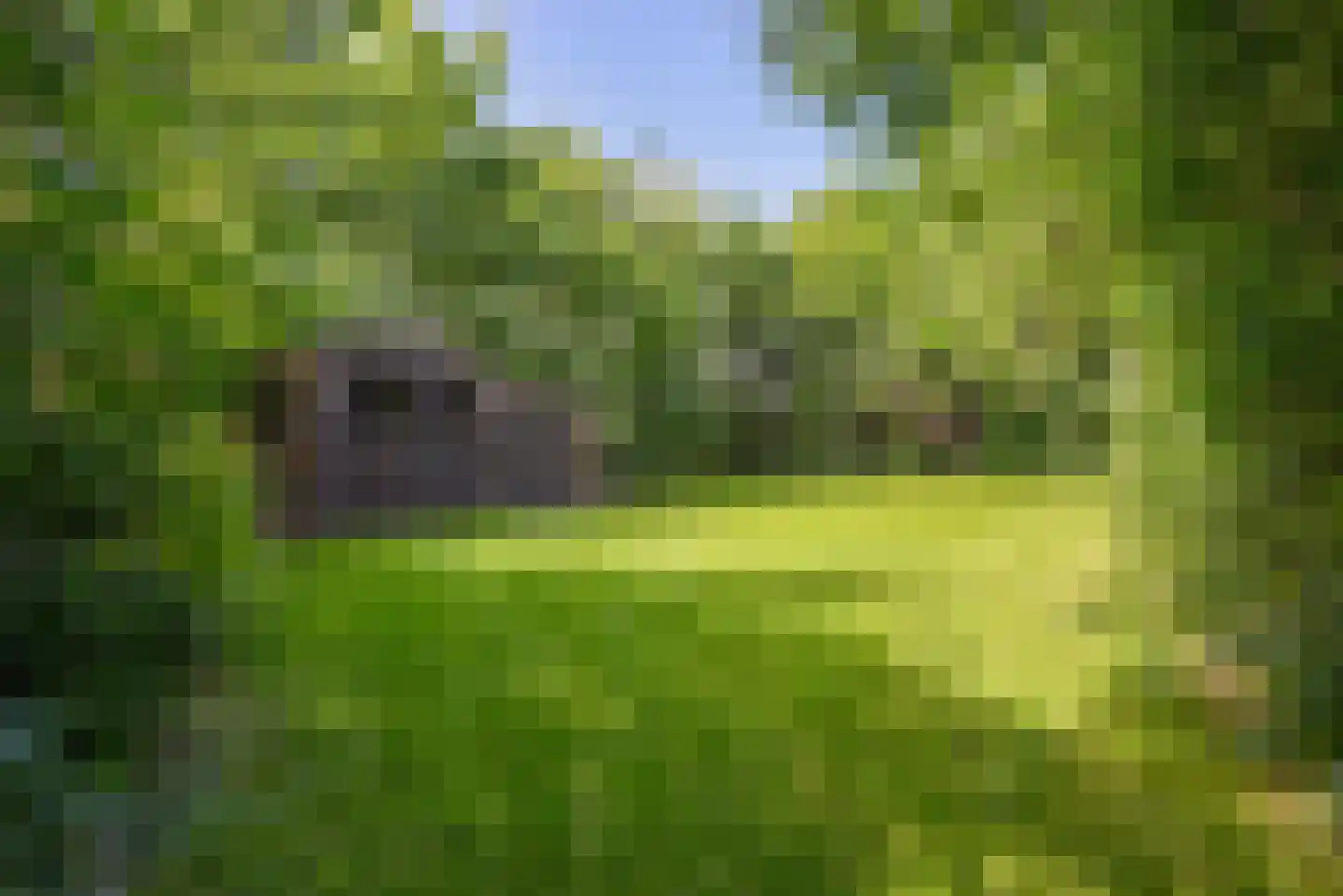 Nesweg 2 Oosterend thumbnail 60