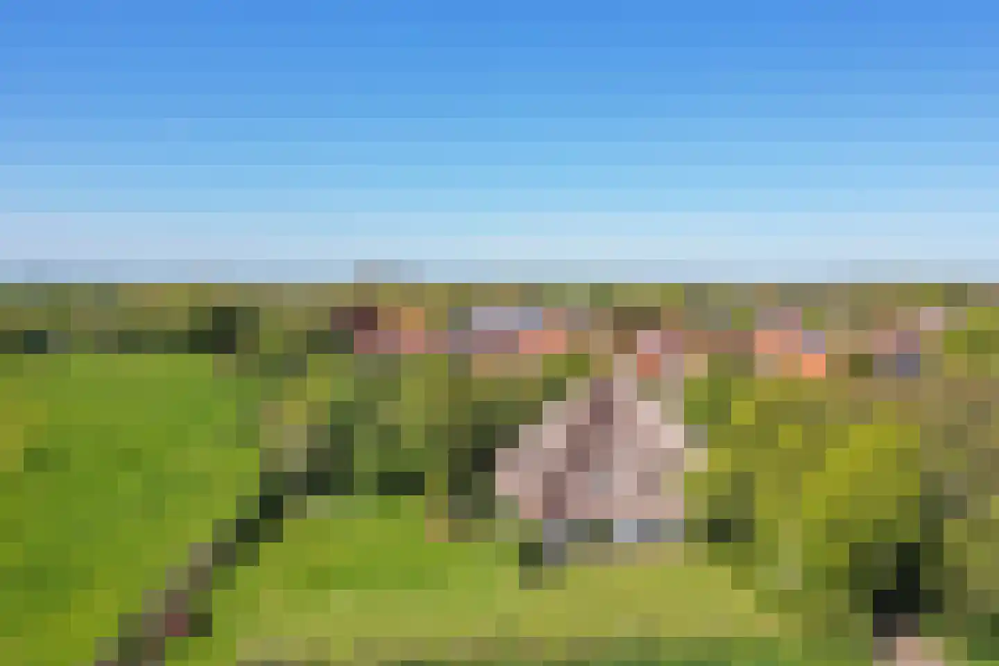 Nesweg 2 Oosterend thumbnail 62