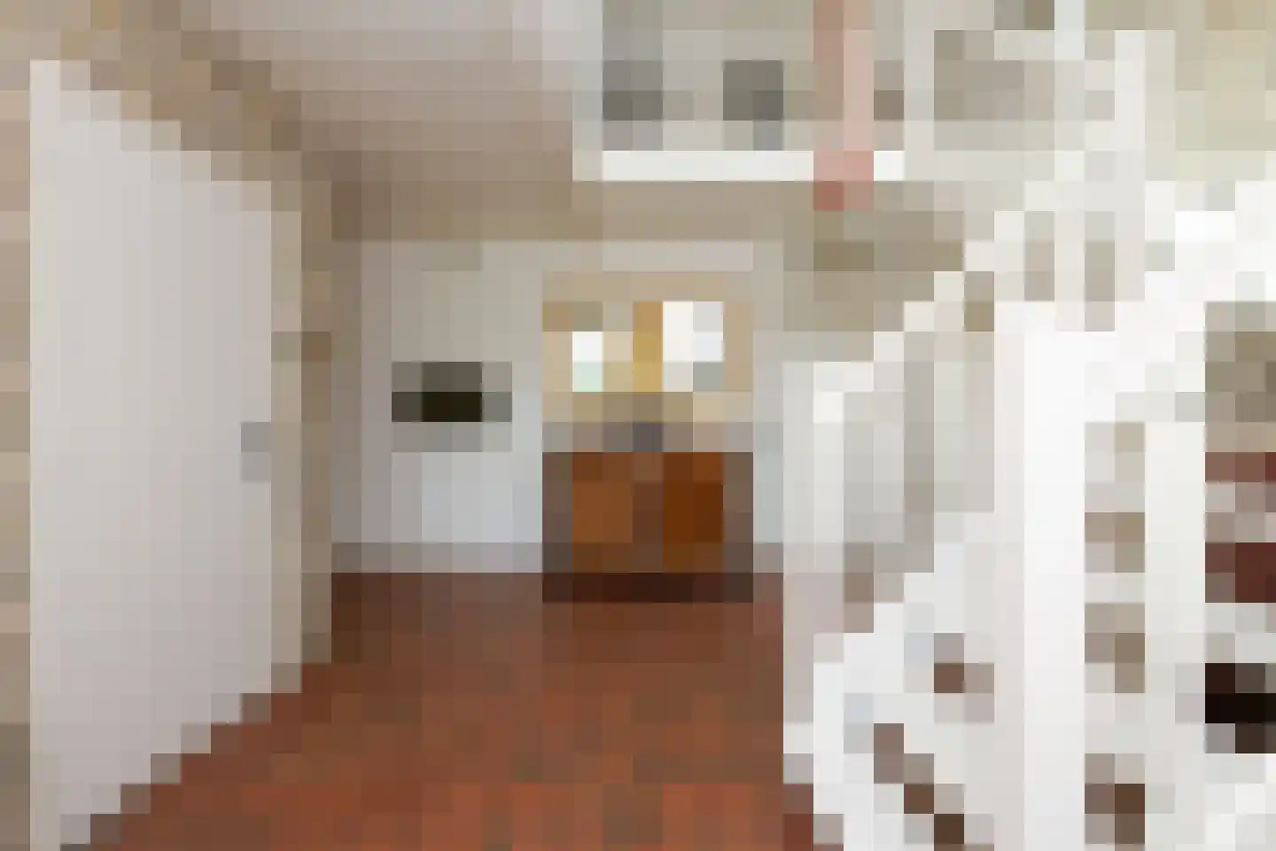 Nesweg 2 Oosterend thumbnail 8