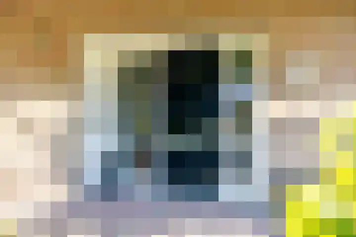 Netarisappel 23 St.-Annaparochie thumbnail 10