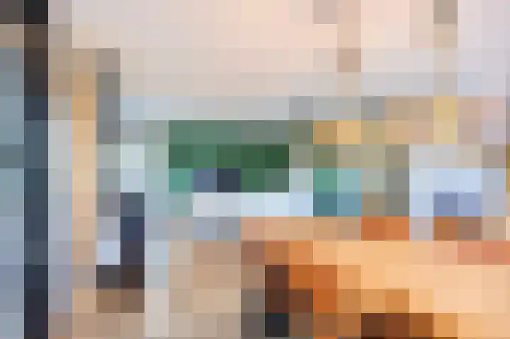 Netarisappel 23 St.-Annaparochie thumbnail 15