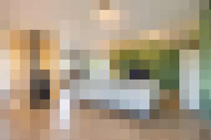 Netarisappel 23 St.-Annaparochie thumbnail 18
