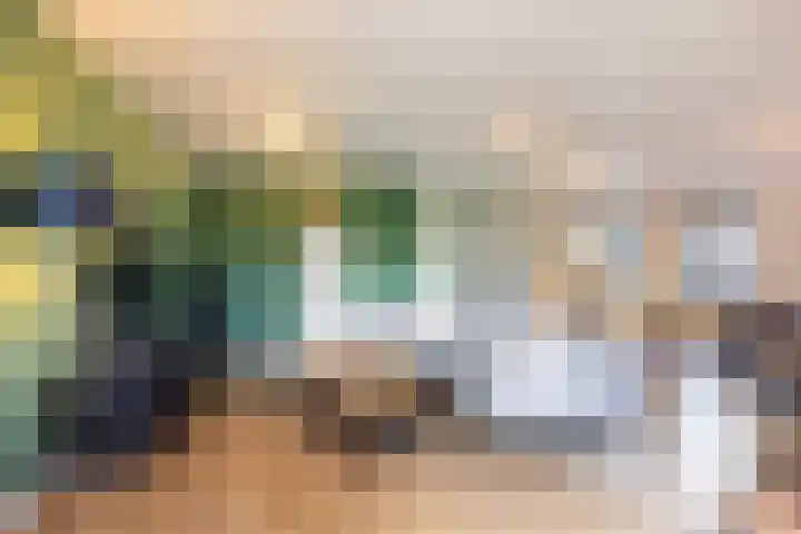 Netarisappel 23 St.-Annaparochie thumbnail 22