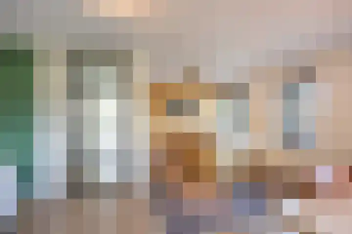 Netarisappel 23 St.-Annaparochie thumbnail 25