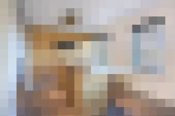 Netarisappel 23 St.-Annaparochie thumbnail 26