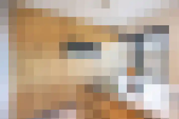 Netarisappel 23 St.-Annaparochie thumbnail 28