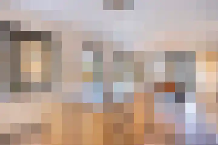 Netarisappel 23 St.-Annaparochie thumbnail 29