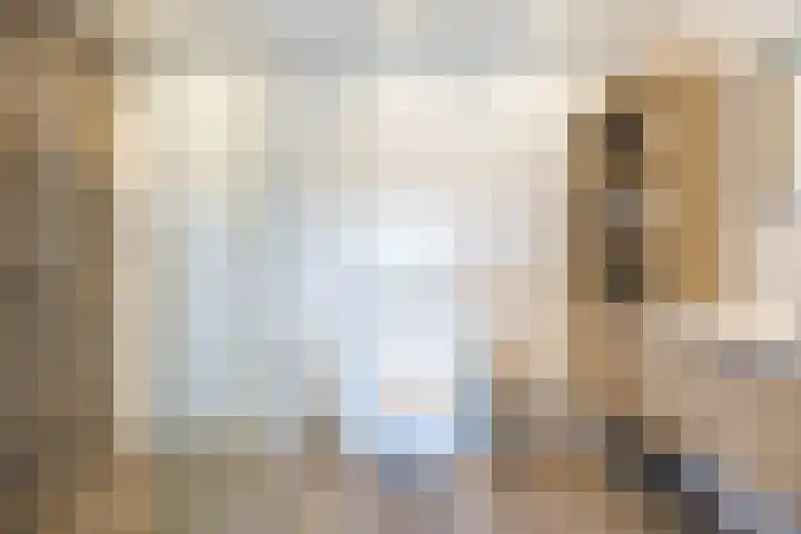 Netarisappel 23 St.-Annaparochie thumbnail 38