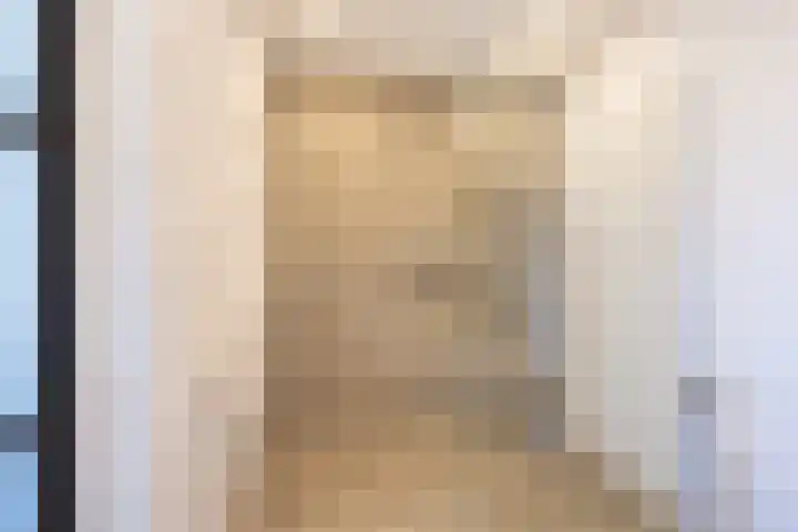 Netarisappel 23 St.-Annaparochie thumbnail 40