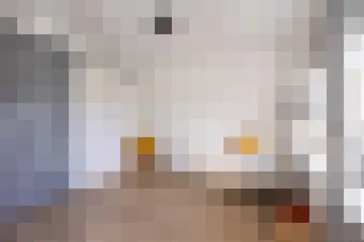 Netarisappel 23 St.-Annaparochie thumbnail 42