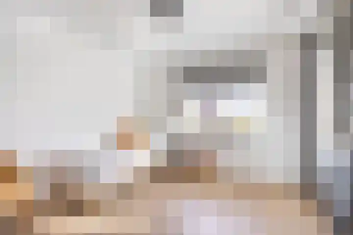 Netarisappel 23 St.-Annaparochie thumbnail 43