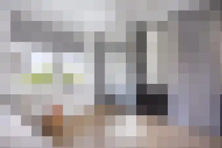 Netarisappel 23 St.-Annaparochie thumbnail 44