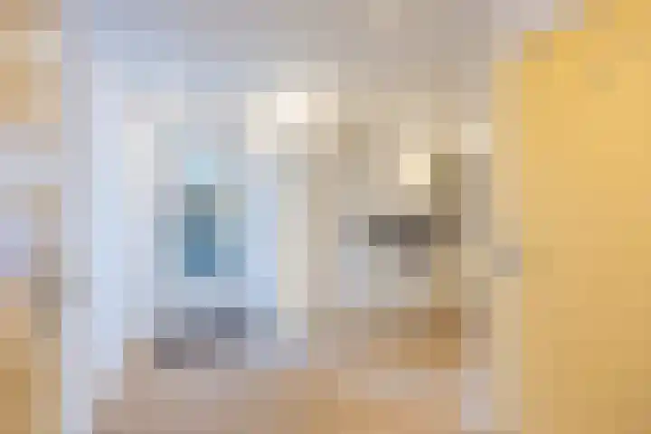 Netarisappel 23 St.-Annaparochie thumbnail 47