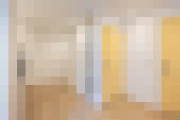 Netarisappel 23 St.-Annaparochie thumbnail 48