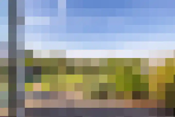 Netarisappel 23 St.-Annaparochie thumbnail 54