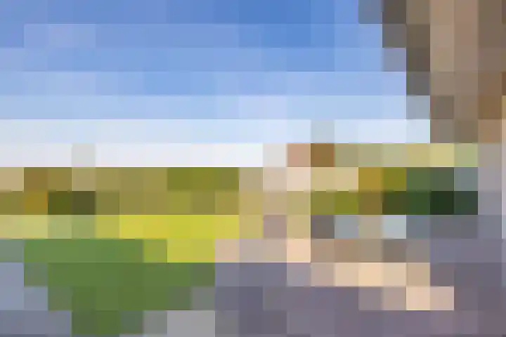 Netarisappel 23 St.-Annaparochie thumbnail 55