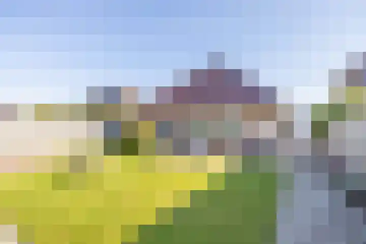 Netarisappel 23 St.-Annaparochie thumbnail 56