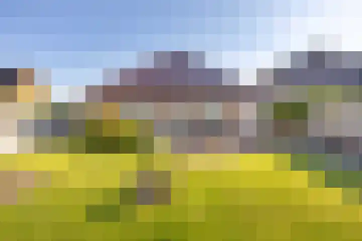Netarisappel 23 St.-Annaparochie thumbnail 57