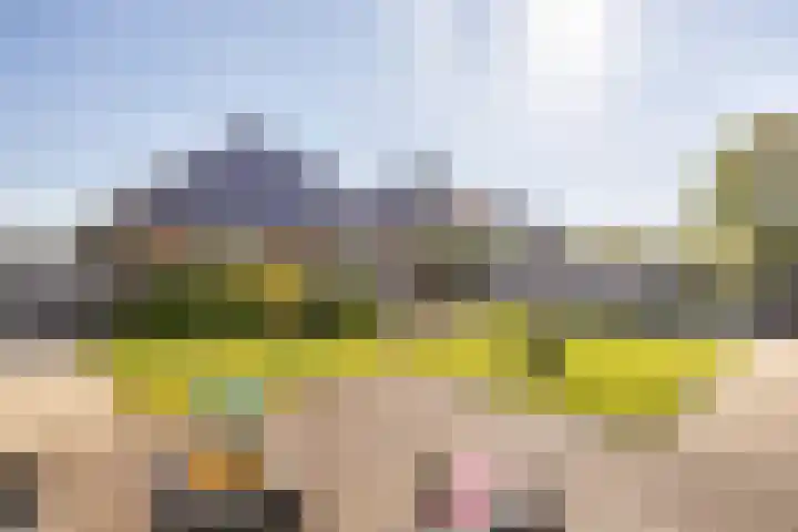 Netarisappel 23 St.-Annaparochie thumbnail 58