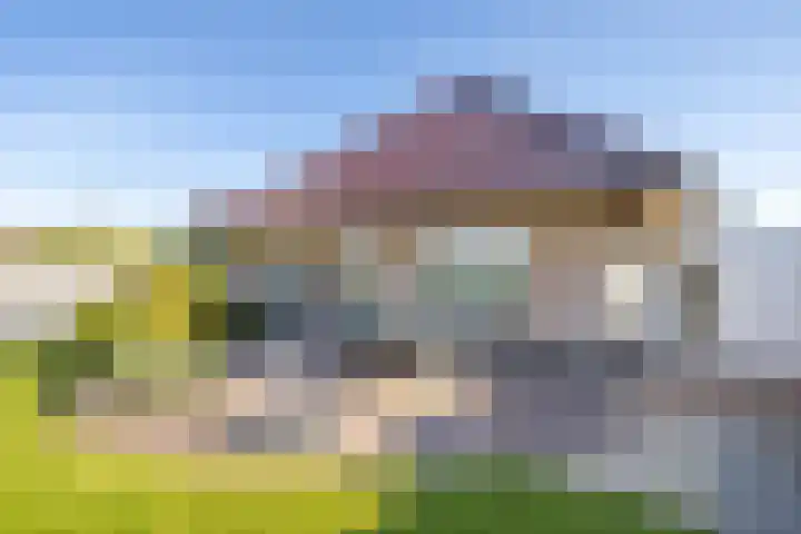 Netarisappel 23 St.-Annaparochie thumbnail 59