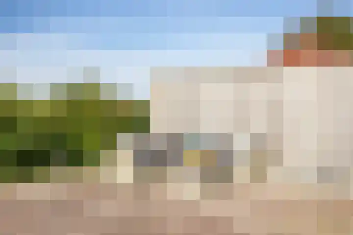 Netarisappel 23 St.-Annaparochie thumbnail 60