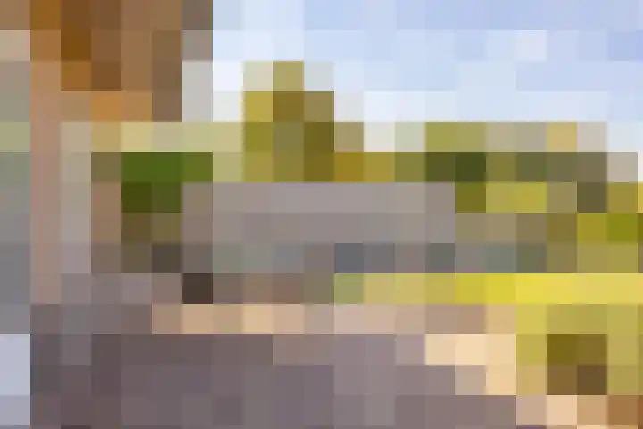 Netarisappel 23 St.-Annaparochie thumbnail 61