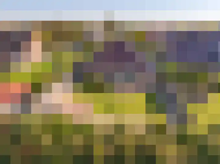 Netarisappel 23 St.-Annaparochie thumbnail 62