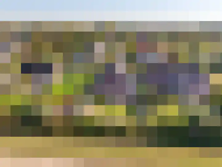 Netarisappel 23 St.-Annaparochie thumbnail 63