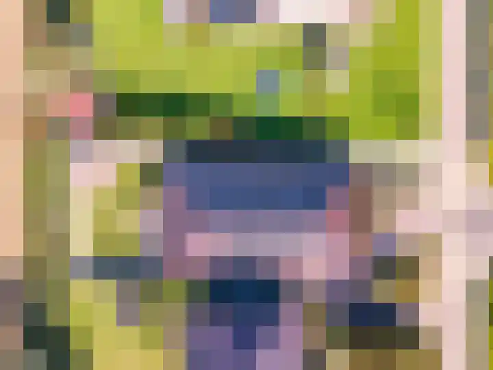 Netarisappel 23 St.-Annaparochie thumbnail 64