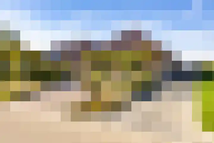 Netarisappel 23 St.-Annaparochie thumbnail 8