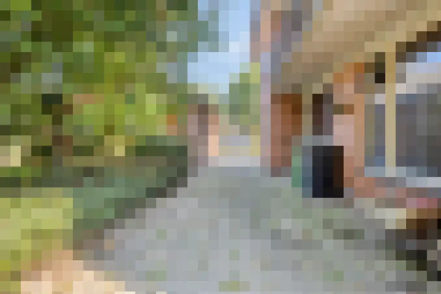 Neterselsedijk 23 a Lage Mierde thumbnail 33