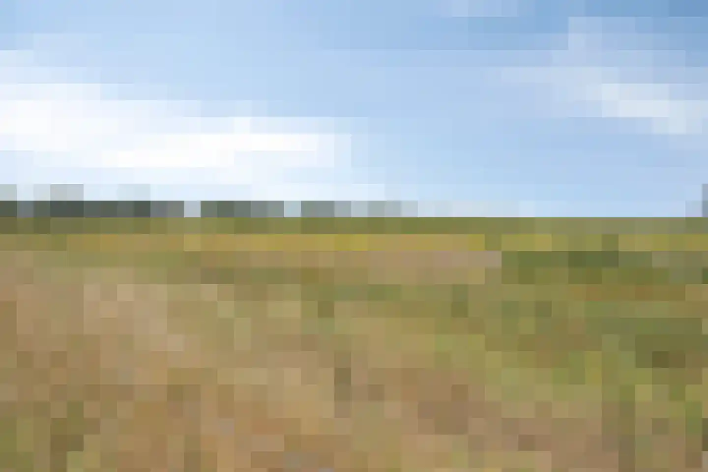 Neterselsedijk 23 a Lage Mierde thumbnail 40