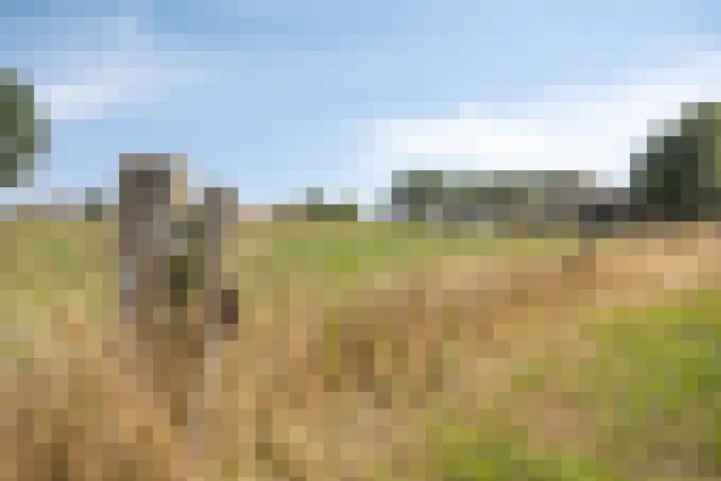 Neterselsedijk 23 a Lage Mierde thumbnail 41