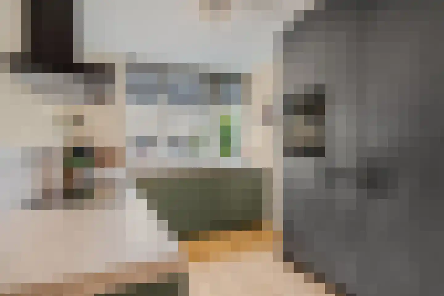Netscherstraat 14 Ede thumbnail 10