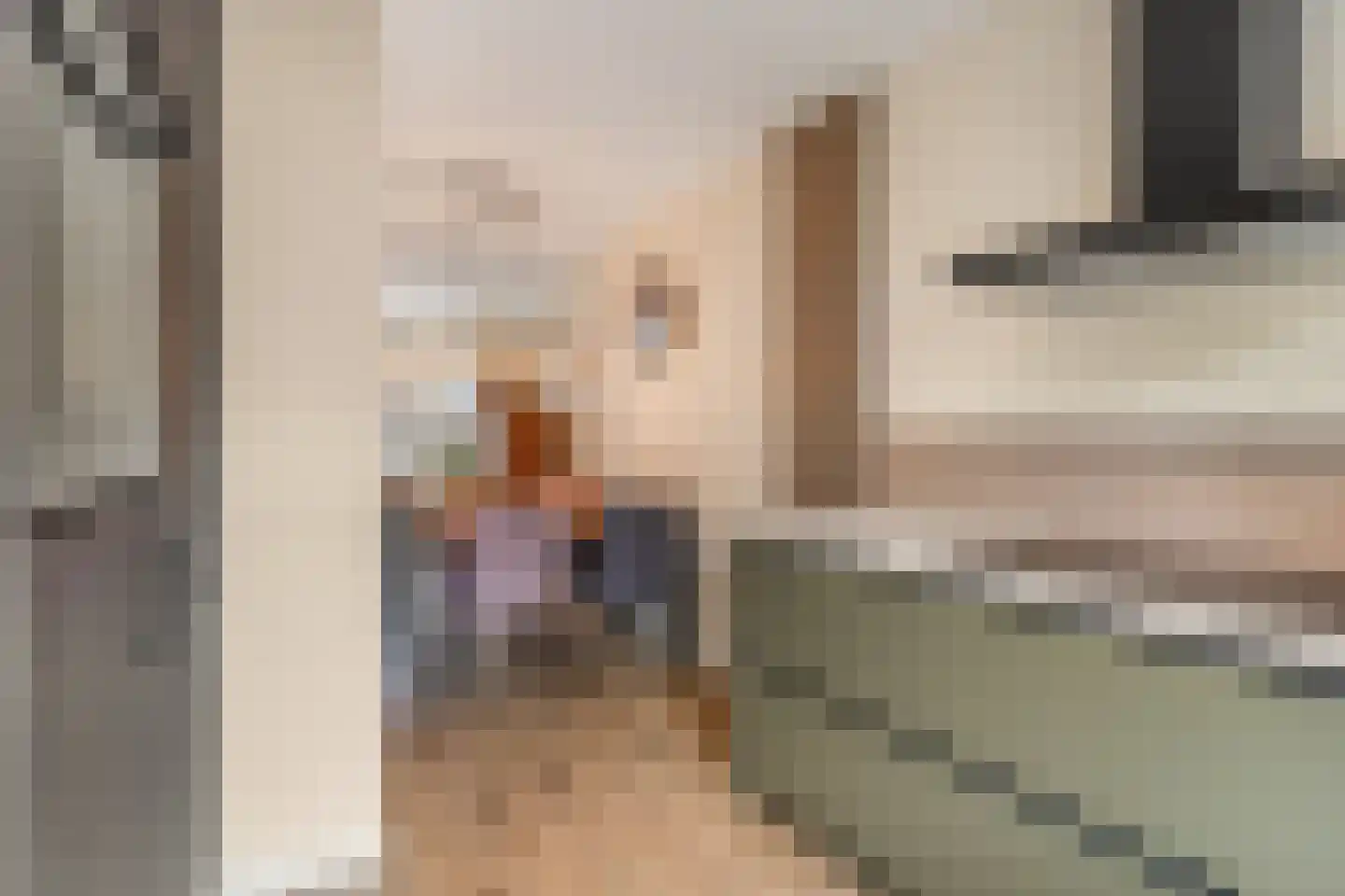 Netscherstraat 14 Ede thumbnail 12