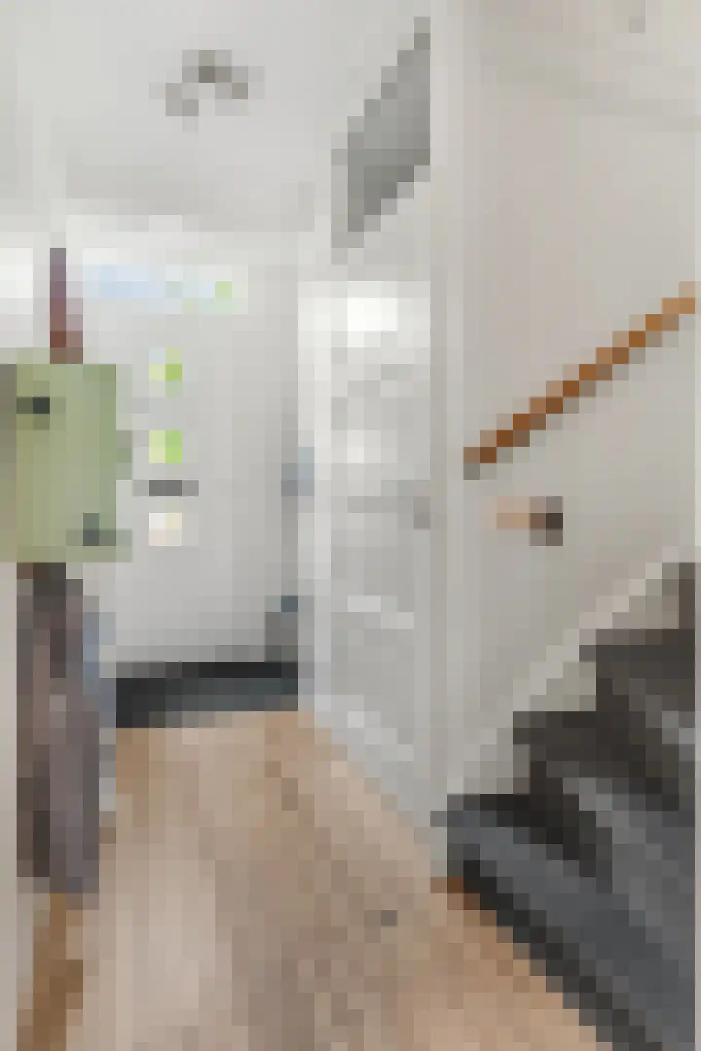 Netscherstraat 14 Ede thumbnail 15